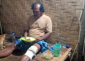 Nelayan Sumur Pandeglang Selamat Usai Diterkam Buaya di Perairan Cibanua