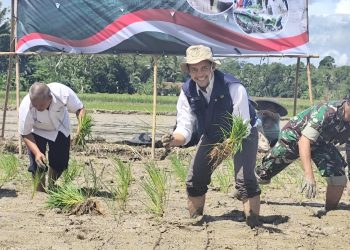 Sambut Musim Tanam Kedua, Distan Lebak Terjunkan Tim Pembasmi Hama