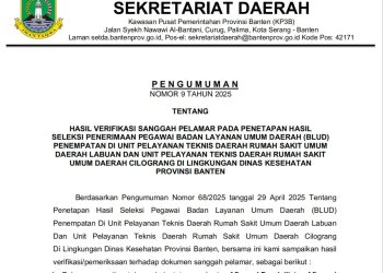 Pansel Koreksi Nilai Afirmasi 159 Calon Pegawai RSUD Cilograng dan Labuan