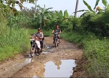 Wabup Akui Pandeglang Daerah Miskin, Tak Mampu Perbaiki Jalan Berharap Bantuan Pemerintah Pusat