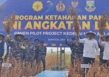 KASAL Laksamana Muhamad Ali Panen 1,5 Hektare Kedelai di Kabupaten Serang