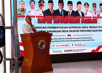 Kunjungi Pandeglang, Menko Zulhas Tegaskan Import Beras Tak Perlu Lagi!