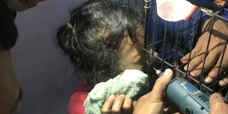 Petugas Damkar Tangsel Sukses Cabut Kawat Kandang Kucing yang Menusuk Kelopak Mata Seorang Wanita