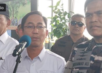 Peluang Tanam Kedelai Menjajikan, Kebutuhan Kedelai Nasional Baru Terpenuhi 20 Persen