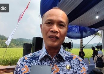 Pemkab Serang Targetkan 850 Hektare Lahan di Kabupaten Serang Ditanami Kedelai