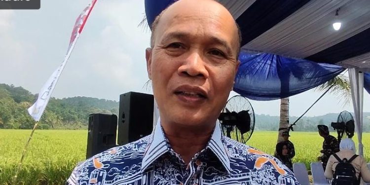 Pemkab Serang Targetkan 850 Hektare Lahan di Kabupaten Serang Ditanami Kedelai