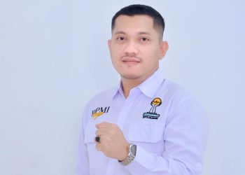 HIPMI Cilegon Soroti Potensi Kebocoran PAD di Tengah Masuknya Investasi Asing