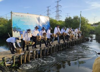Peringati Hubungan 75 Tahun Diplomasi RI-Tiongkok, PLTU Jawa 7 Tunjukkan Penambahan Area Reforestasi Mangrove