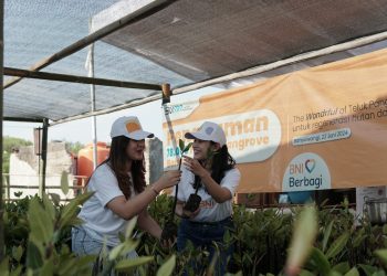 Dukung Keanekaragaman Hayati, BNI GoGreen Jalankan Konservasi Mangrove Dorong Ekonomi Warga Banyuwangi