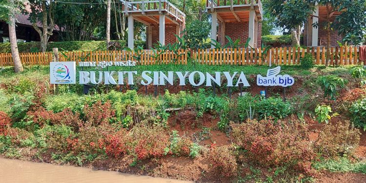 Pemdes Bandung Genjot PADes Lewat Budidaya Ikan Mas Sinyonya, Sasar Ekspor