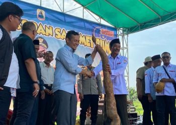 Sedekah Bumi, Kearifan Lokal Unik yang Masih Terjaga di Banjarsari