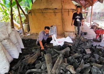 Arang Kayu Asal Lebak Sukses Tembus Pasar Timur Tengah dan Eropa, Omzet Ratusan Juta