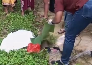 Janin Bayi Terbungkus Kantong Kresek Merah Gegerkan Warga Tangsel
