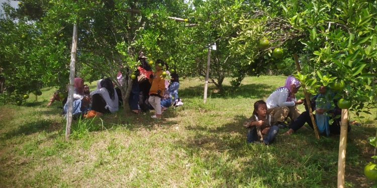 Mau Wisata Petik Buah Langsung dari Pohonnya, Kunjungi Kampung Agrinek Cikeusik