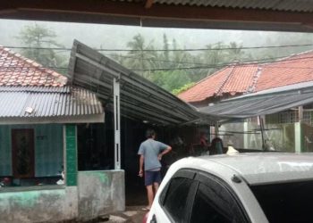 Angin Kencang Terjang Cilegon, Pohon Tumbang Timpa Rumah Warga di Suralaya
