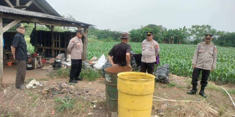 Dukung Ketahanan Pangan, Wakapolsek Pasar Kemis Tangerang Tinjau Perkembangan Tanaman Jagung