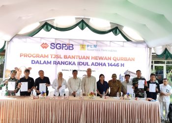 Rajut Solidaritas, PT SGPJB dan PLN Nusantara Renewables Berbagi Berkah 28 Hewan Qurban