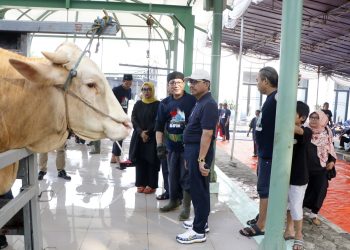 Walikota Tangerang Pastikan Pendistribusian Hewan Kurban Merata untuk Masyarakat Kurang Mampu
