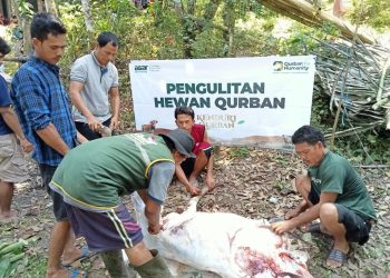 Lebaran Idul Adha, Asar Humanity Salurkan Hewan Kurban untuk Warga Baduy