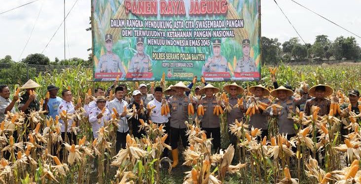 Wujudkan Swasembada Pangan Nasional, Polda Banten Panen 1.080,5 Ton Jagung