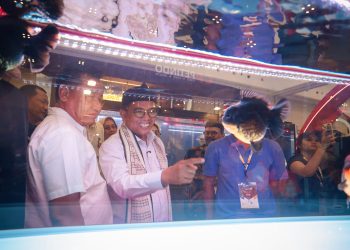 Gubernur Banten Ingin Buat Ruang Pameran Ikan Hias di Bandara Soekarno-Hatta