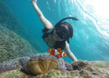 Pulau Peucang, Destinasi Wisata Unggulan di Banten