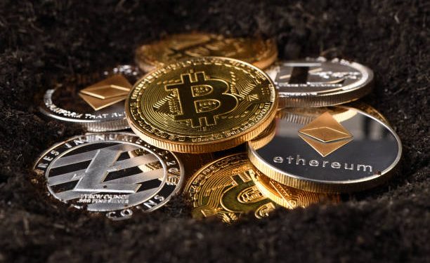 Crypto Masih Menarik untuk Investasi Tahun 2025? Ini Penjelasannya