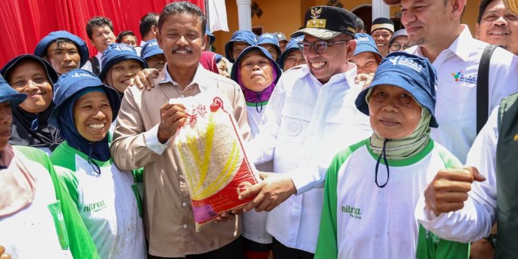 Harga Gabah Naik, Petani Banten Akhirnya Bisa Tersenyum Lega