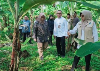 Sekolah Rakyat Bakal Dibangun di Cadasari, Bupati Pandeglang Lobi Kemensos