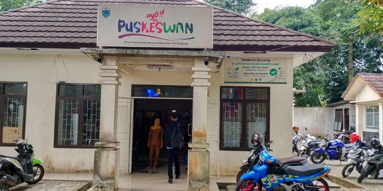 Enam Bulan, Capaian Target Pelayanan Kesehatan Hewan di Pandeglang Masih Rendah!