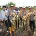 Polda Banten Panen 1.617 Ton Lebih Jagung, Capai 66,56 Persen Lahan dari Target