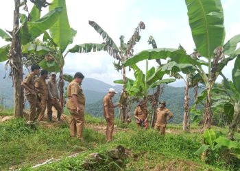 Pemkab Lebak Alokasikan Rp 500 Juta untuk Pembangunan Jalan Usaha Tani di Wanasalam