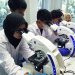 Program Studi Bioteknologi Esa Unggul: Mencetak Generasi Ilmuwan Bioteknologi Berstandar Internasional