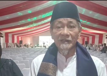 Fenomena Maraknya Bendera One Piece, Embay Mulya Syarief: Jangan Lupakan Semangat Kebangsaan