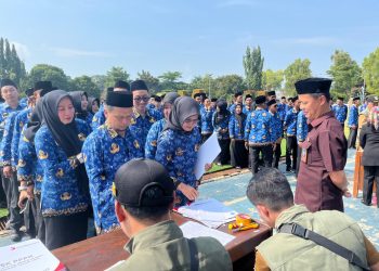 Diusulkan ke BKN, Lima Calon PPPK Tahap 2 Segera Dapat NIP