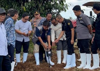 Kejari Lebak Dukung Ketahanan Pangan Melalui Program Jaksa Mandiri Pangan