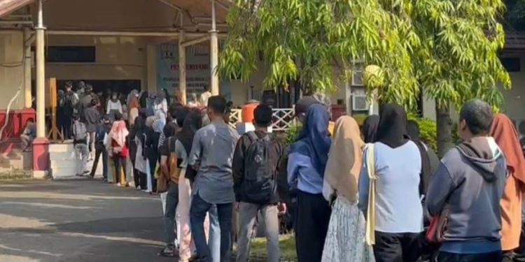 Mau Ikut Job Fair Kota Serang 2025? Ini Tata Cara Pendaftarannya