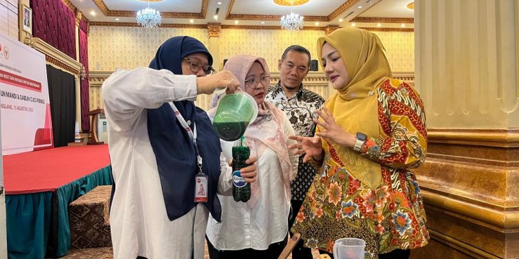 Kurangi Pengangguran, Adde Rosi dan BRIN Latih Warga Pandeglang Buat Sabun