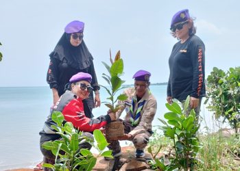 Kurangi Risiko Bencana Tsunami, Relawan Tanam Butun di Pantai Sumur Pandeglang