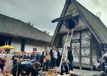 Ritual Puncak Seren Taun Cisungsang: Masyarakat Kasepuhan Memasukan Padi ke Leuit Adat