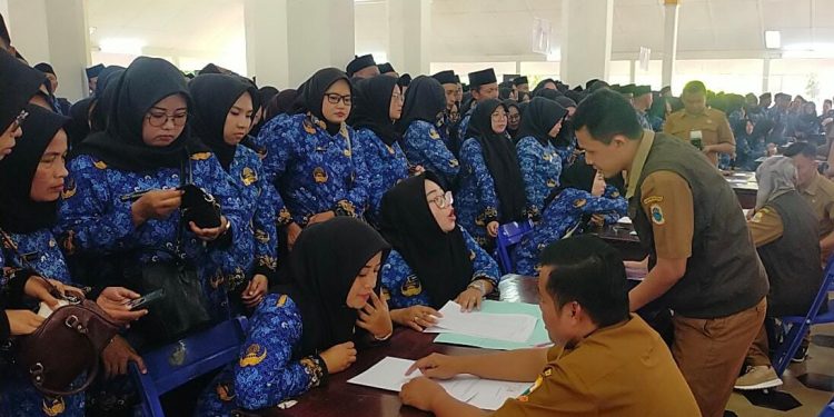 Mayoritas PPPK Paruh Waktu di Lebak Didominasi oleh Guru dan Nakes
