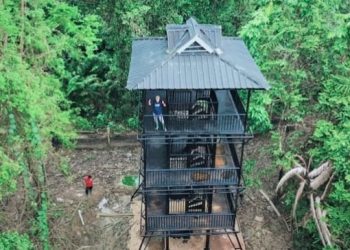 JRSCA Ujung Kulon Jadi Lokasi Perkawinan Badak Jawa, Bukan Habitat Buatan