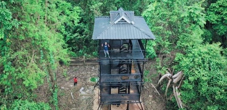 JRSCA Ujung Kulon Jadi Lokasi Perkawinan Badak Jawa, Bukan Habitat Buatan