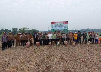 Kebutuhan Jagung di Kabupaten Serang Baru Terpenuhi 10 Persen