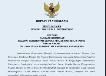 Bupati Pandeglang Umumkan Rekrutmen PPPK Paruh Waktu, Tenaga Honor Mulai Isi DRH