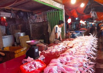 Harga Daging dan Telur Ayam Naik, Disperindag Lebak Ungkap Penyebabnya