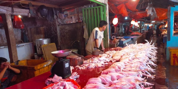 Harga Daging dan Telur Ayam Naik, Disperindag Lebak Ungkap Penyebabnya