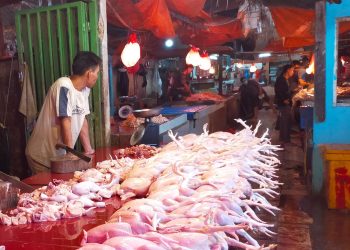 Harga Daging Ayam di Pasar Rangkasbitung Tembus Rp40 Ribu per Kilogram