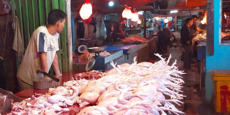 Harga Daging Ayam di Pasar Rangkasbitung Tembus Rp40 Ribu per Kilogram