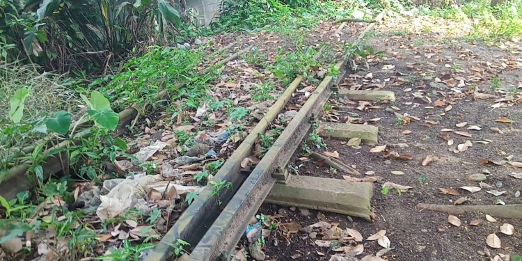 Masyarakat Berharap Pemerintah Percepat Reaktivasi Jalur Kereta Api Rangkasbitung–Pandeglang
